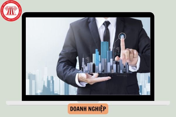 Doanh nghiệp là gì? Có những loại hình doanh nghiệp nào?