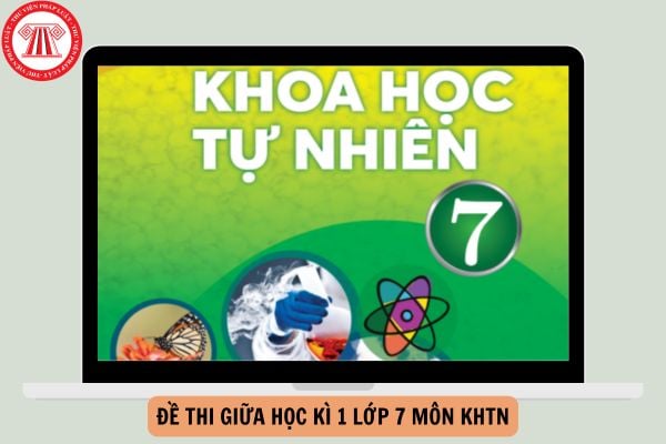 Đề thi giữa học kì 1 lớp 7 môn KHTN Chân trời sáng tạo có đáp án năm 2024-2025?