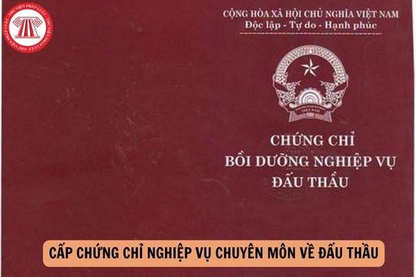 Thí sinh tham dự thi cấp chứng chỉ nghiệp vụ chuyên môn về đấu thầu không được thực hiện hành vi nào?