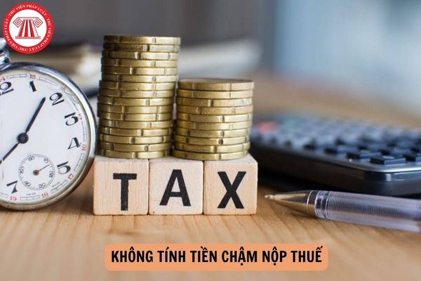 Trình tự thủ tục không tính tiền chậm nộp thuế bao gồm những gì?