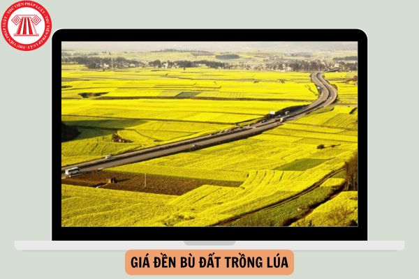 Giá đền bù đất trồng lúa theo quy định Luật Đất đai 2024 là bao nhiêu?