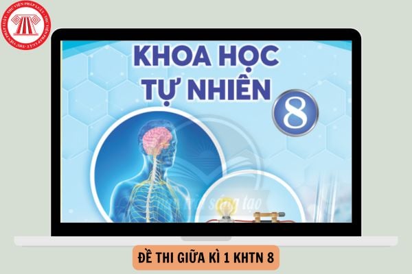 Tổng hợp Đề thi giữa kì 1 KHTN 8 Chân trời sáng tạo có đáp án năm 2024-2025?