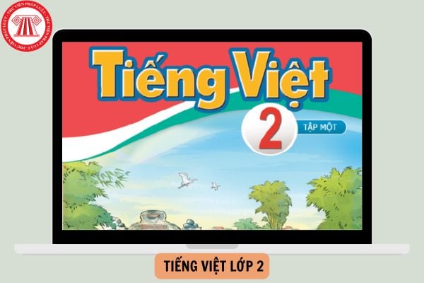 Tổng hợp đề thi giữa học kì 1 Lớp 2 môn Tiếng việt Cánh diều có đáp án tham khảo năm 2024-2025?