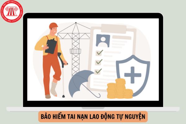 Người không có hợp đồng lao động được đóng bảo hiểm tai nạn lao động tự nguyện từ ngày 01/01/2025 đúng không?