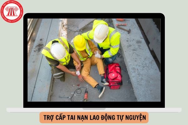 Thời điểm trợ cấp tai nạn lao động tự nguyện từ ngày 01/01/2025?