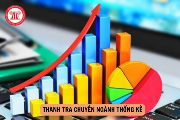 Thanh tra chuyên ngành thống kê là hoạt động thanh tra của cơ quan nhà nước về những đối tượng nào?