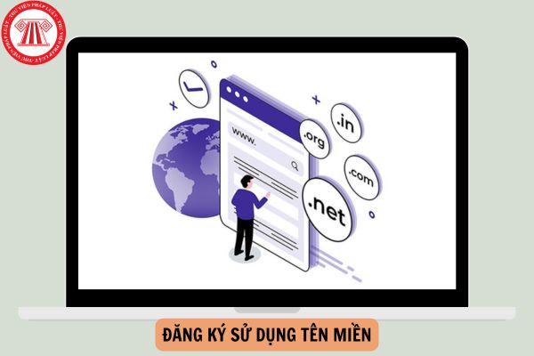 Thông tin nào phải cung cấp khi đăng ký sử dụng tên miền từ 25/12/2024?