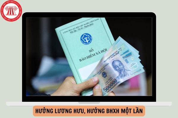 06 trường hợp được lựa chọn hưởng lương hưu hoặc hưởng BHXH một lần từ 01/7/2025?