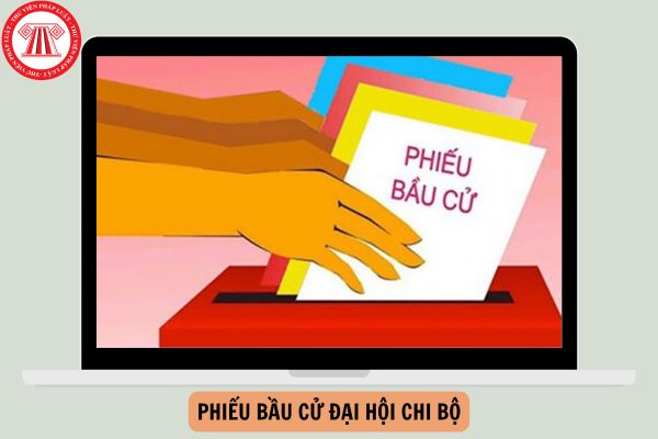 Mẫu phiếu bầu cử Đại hội Chi bộ 2024?