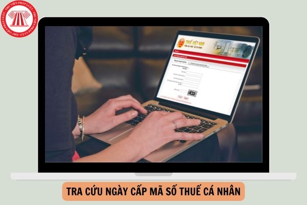 Tra cứu ngày cấp mã số thuế cá nhân online năm 2024?