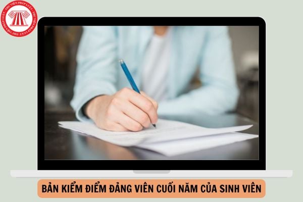 Mẫu Bản kiểm điểm đảng viên cuối năm của sinh viên mới nhất năm 2024?