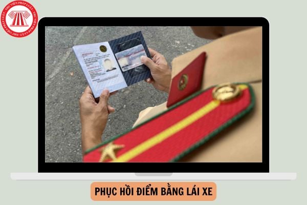 Hình thức, số lượng câu trong bài thi phục hồi điểm bằng lái xe từ ngày 01/01/2025?