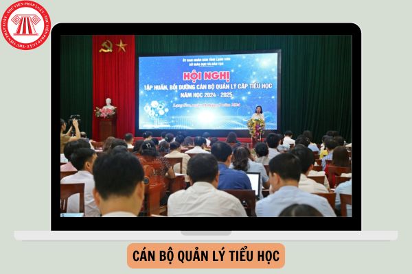 Các module đánh cho cán bộ quản lý tiểu học cập nhật mới nhất năm 2024?