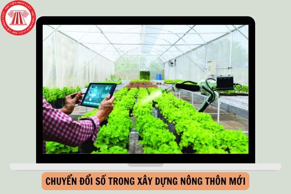 Đối tượng trong chuyển đổi số trong xây dựng nông thôn mới là gì?