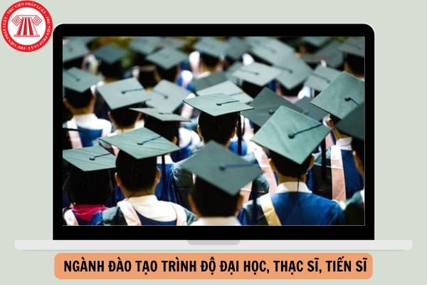 Ban hành Thông tư 16/2024/TT-BGDĐT sửa đổi quy định liên quan đến ngành đào tạo trình độ đại học, thạc sĩ, tiến sĩ?