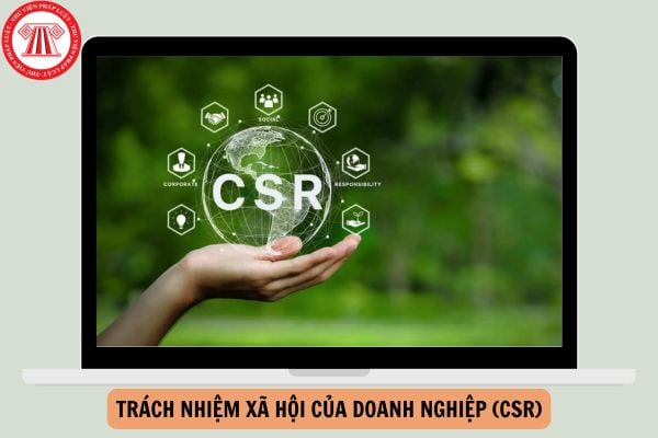 CSR là viết tắt của từ gì? Trách nhiệm xã hội của doanh nghiệp gồm gì?