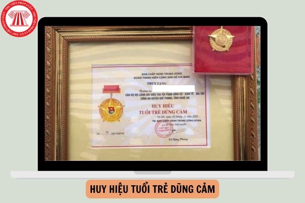 Huy hiệu tuổi trẻ dũng cảm cấp cho những đối tượng nào?