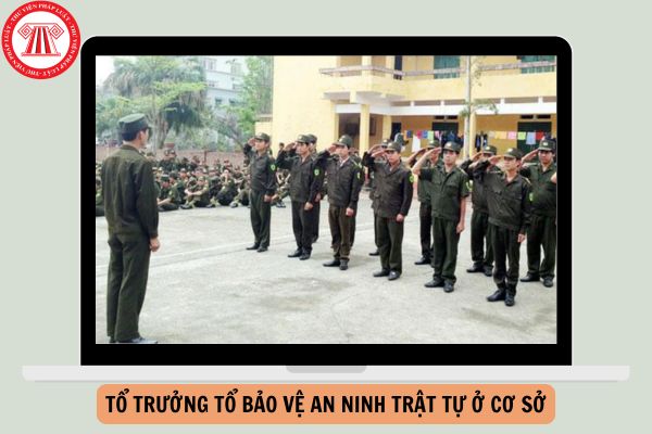 04 trường hợp cho thôi tổ trưởng tổ bảo vệ an ninh trật tự ở cơ sở?