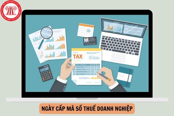 Tra cứu ngày cấp mã số thuế doanh nghiệp mới nhất năm 2025?