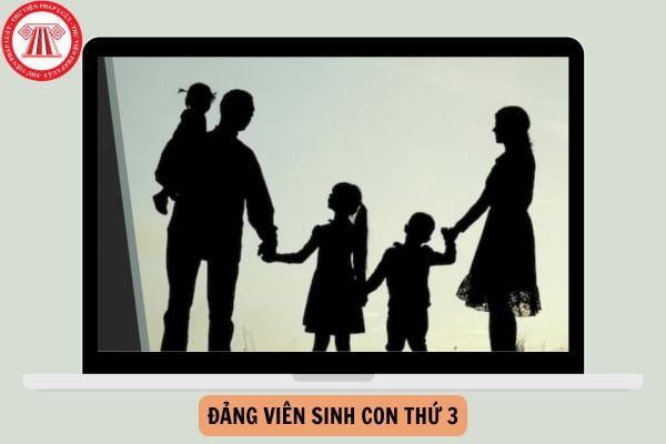 Mẫu Biên bản họp chi bộ xét kỷ luật Đảng viên sinh con thứ 3 năm 2024?