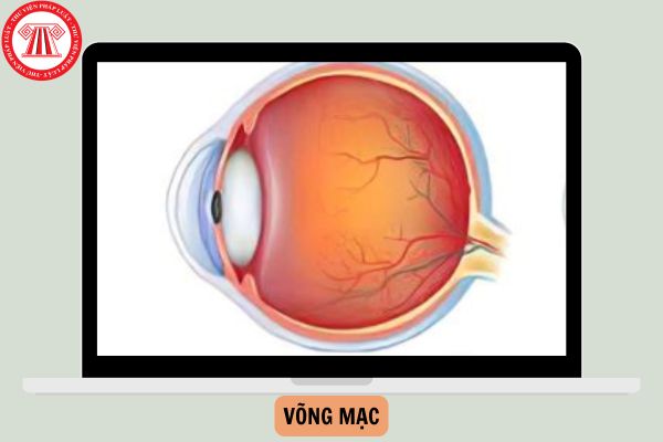 Bộ phận nào trong nhãn cầu giúp tập trung ánh sáng để tạo hình ảnh?