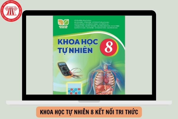 Bộ Đề thi học kì 1 Khoa học tự nhiên 8 Kết nối tri thức có đáp án năm 2024-2025?