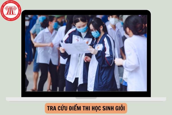 Tra cứu điểm thi học sinh giỏi tỉnh Thanh Hóa năm 2024?