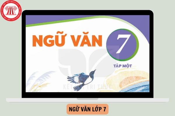 Bộ Đề thi Ngữ văn lớp 7 cuối học kì 1 Kết nối tri thức có đáp án năm 2024-2025?