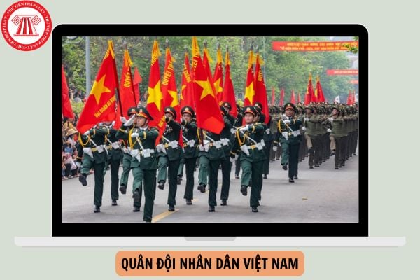 Quân đội nhân dân Việt Nam mang bản chất của giai cấp nào?