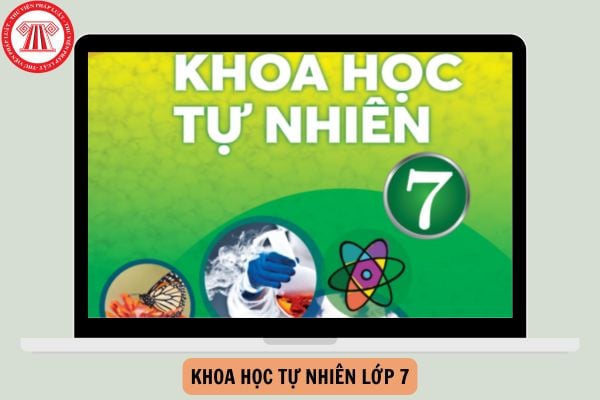 Bộ Đề thi Khoa học tự nhiên lớp 7 cuối kì 1 Chân trời sáng tạo có đáp án năm 2024-2025?