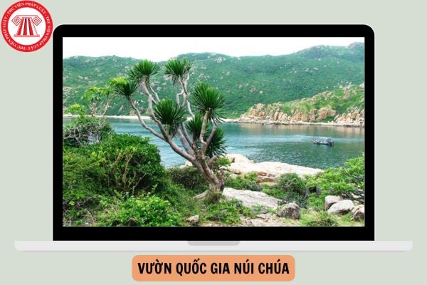 Vườn quốc gia Núi Chúa ở nước ta thuộc tỉnh nào?