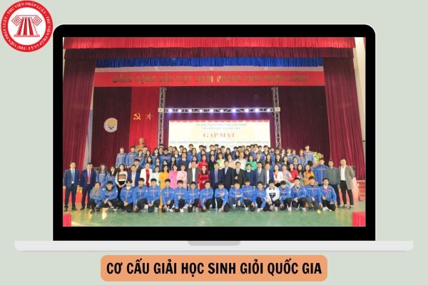 Cơ cấu giải Học sinh giỏi quốc gia 2024 - 2025 như thế nào?