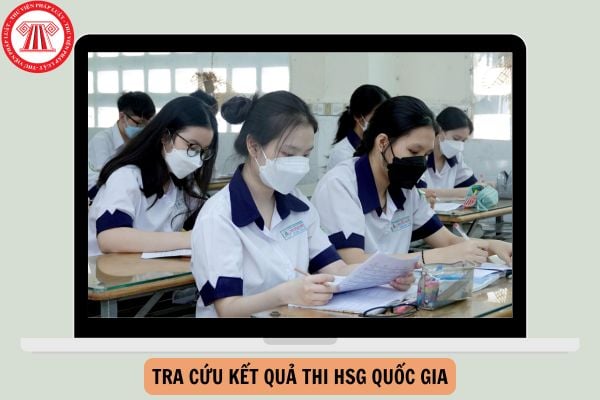 Tra cứu kết quả thi HSG quốc gia 2024-2025 ở đâu?