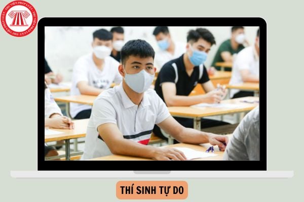 Thí sinh tự do năm 2025 thi tốt nghiệp THPT chương trình cũ hay mới?