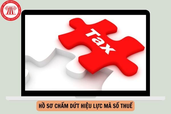 Hồ sơ chấm dứt hiệu lực mã số thuế từ 06/2/2025?