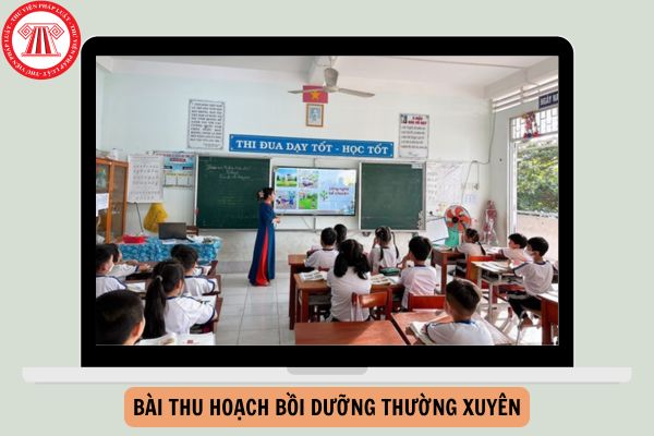 Mẫu Bài thu hoạch bồi dưỡng thường xuyên module TH36 mới nhất năm 2024?