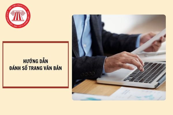 Hướng dẫn đánh số trang văn bản trong Word?