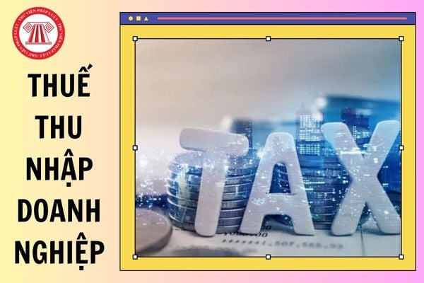 Hướng dẫn cách xác định thu nhập tính thuế thu nhập doanh nghiệp năm 2025?