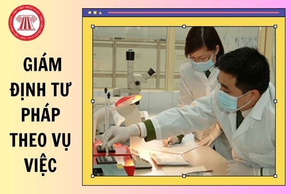 Mẫu kết luận giám định tư pháp theo vụ việc trong lĩnh vực y tế năm 2025? Hướng dẫn cách viết mẫu?