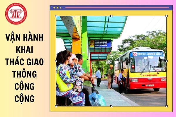 Tiêu chuẩn về trình độ đào tạo, bồi dưỡng về năng lực chuyên môn, nghiệp vụ của viên chức vận hành khai thác giao thông công cộng hạng 1 từ 01/3/2025?