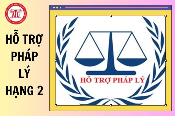 Tiêu chuẩn, điều kiện xét thăng hạng chức danh hỗ trợ pháp lý hạng 2 từ 10/02/2025?