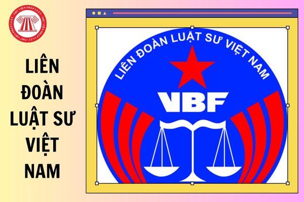 Quy định về đóng phí thành viên của Liên đoàn Luật sư Việt Nam, Đoàn Luật sư như thế nào?