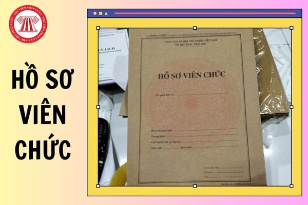 Việc tiếp nhận hồ sơ viên chức phải bảo đảm những yêu cầu như thế nào?