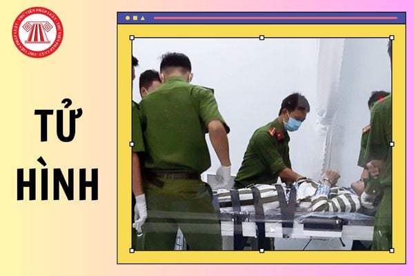 Tử hình là hình phạt gì? Những tội bị tử hình ở Việt Nam hiện nay gồm những tội nào?