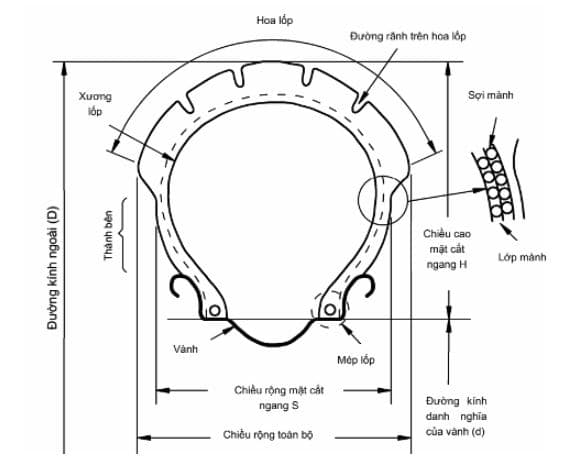 Mặt cắt ngang của lốp