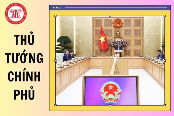 Thủ tướng Chính phủ trình Chủ tịch nước quyết định những nội dung nào?