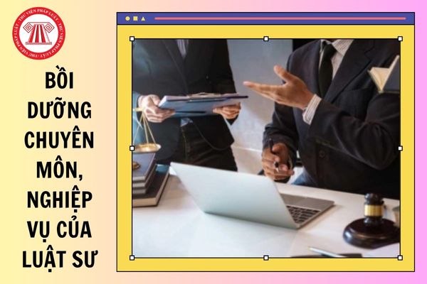 Hỏi đáp Pháp luật