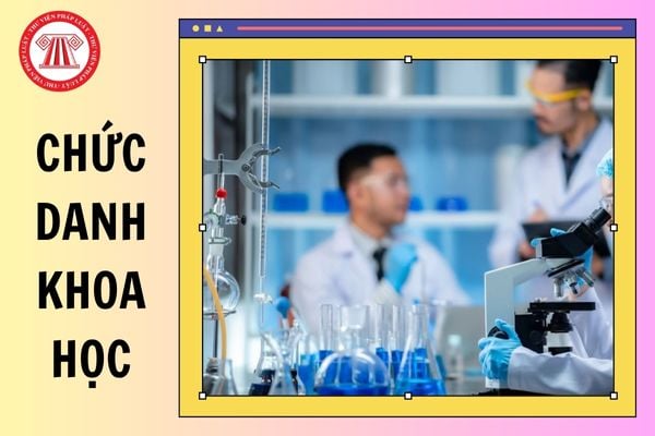 Hỏi đáp Pháp luật