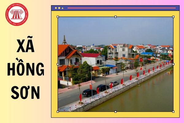 Hỏi đáp Pháp luật