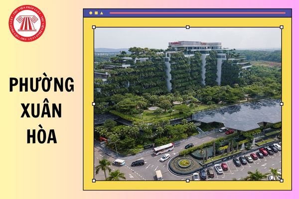 Hỏi đáp Pháp luật